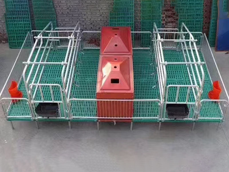 母豬產床